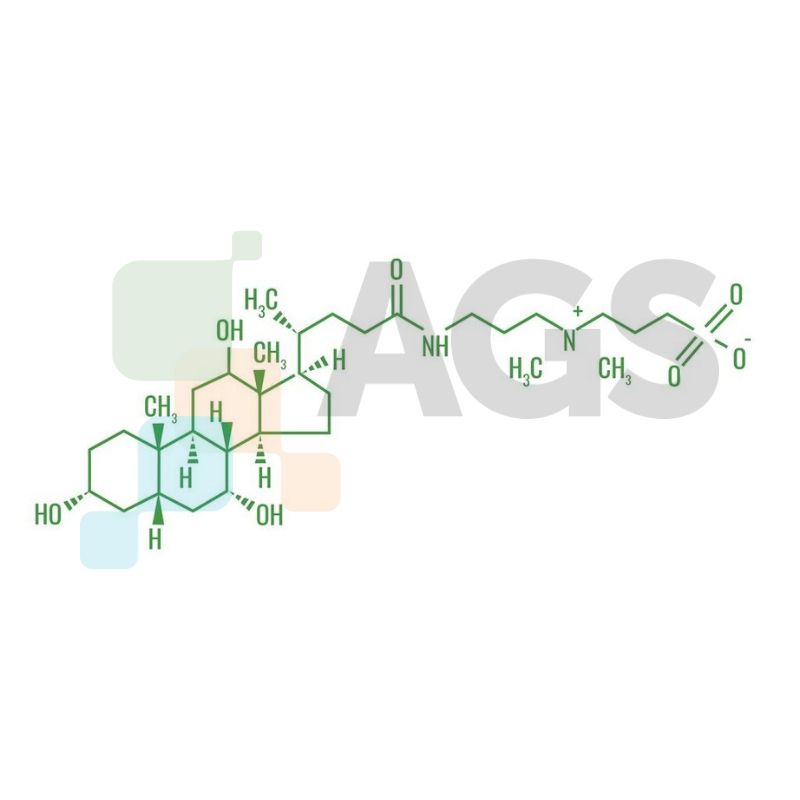 Chemical structure of CHAPS